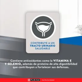 EXCELLENT ADULT CAT 3KG - 16947