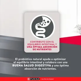 EXCELLENT ADULT MAINTENANCE FORMULA 22.7KG - 11028